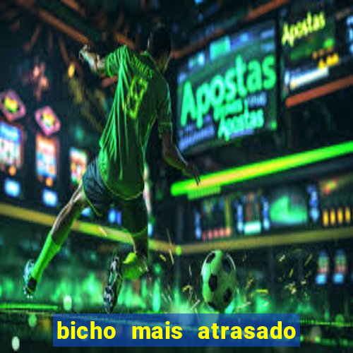 bicho mais atrasado na bahia